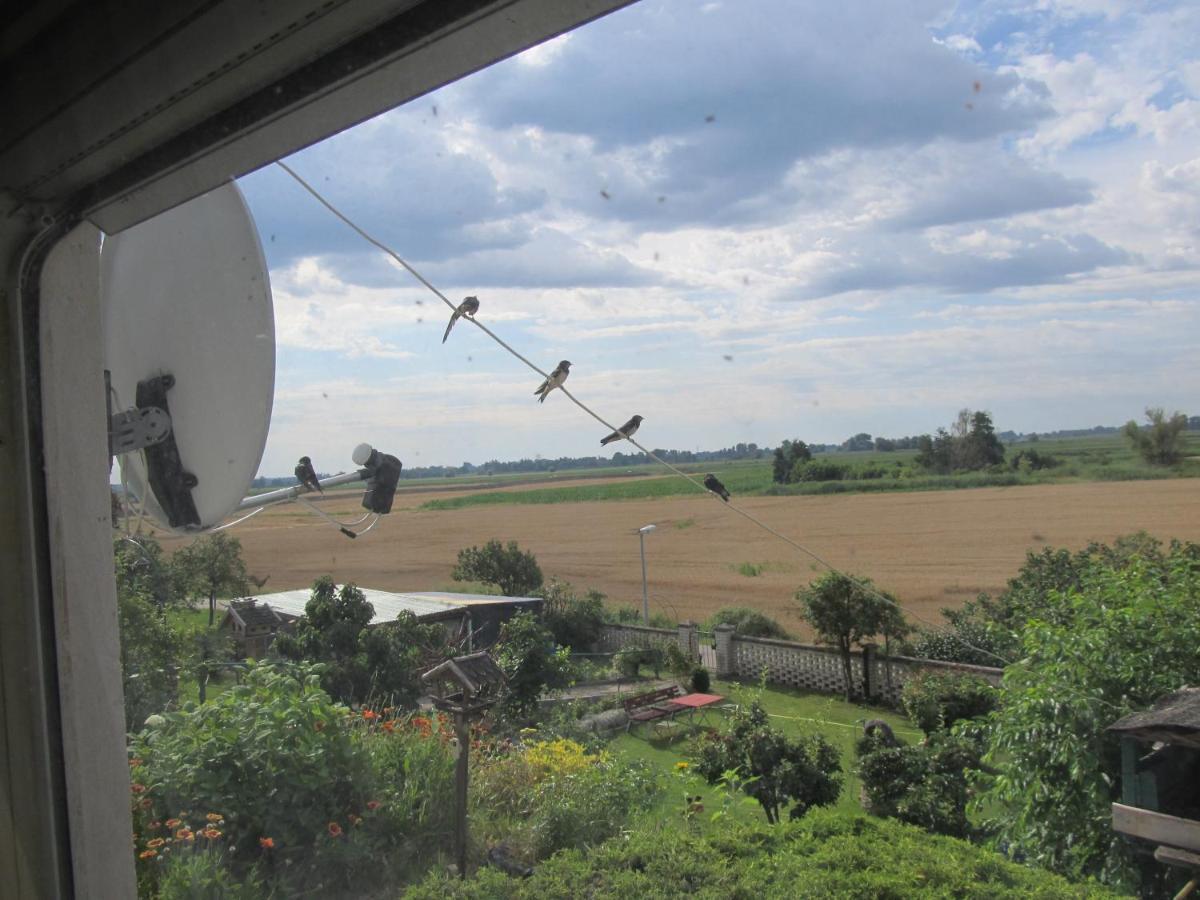 Apartamento Zum Wiesengrund Im Oderbruch Altglietzen Exterior foto