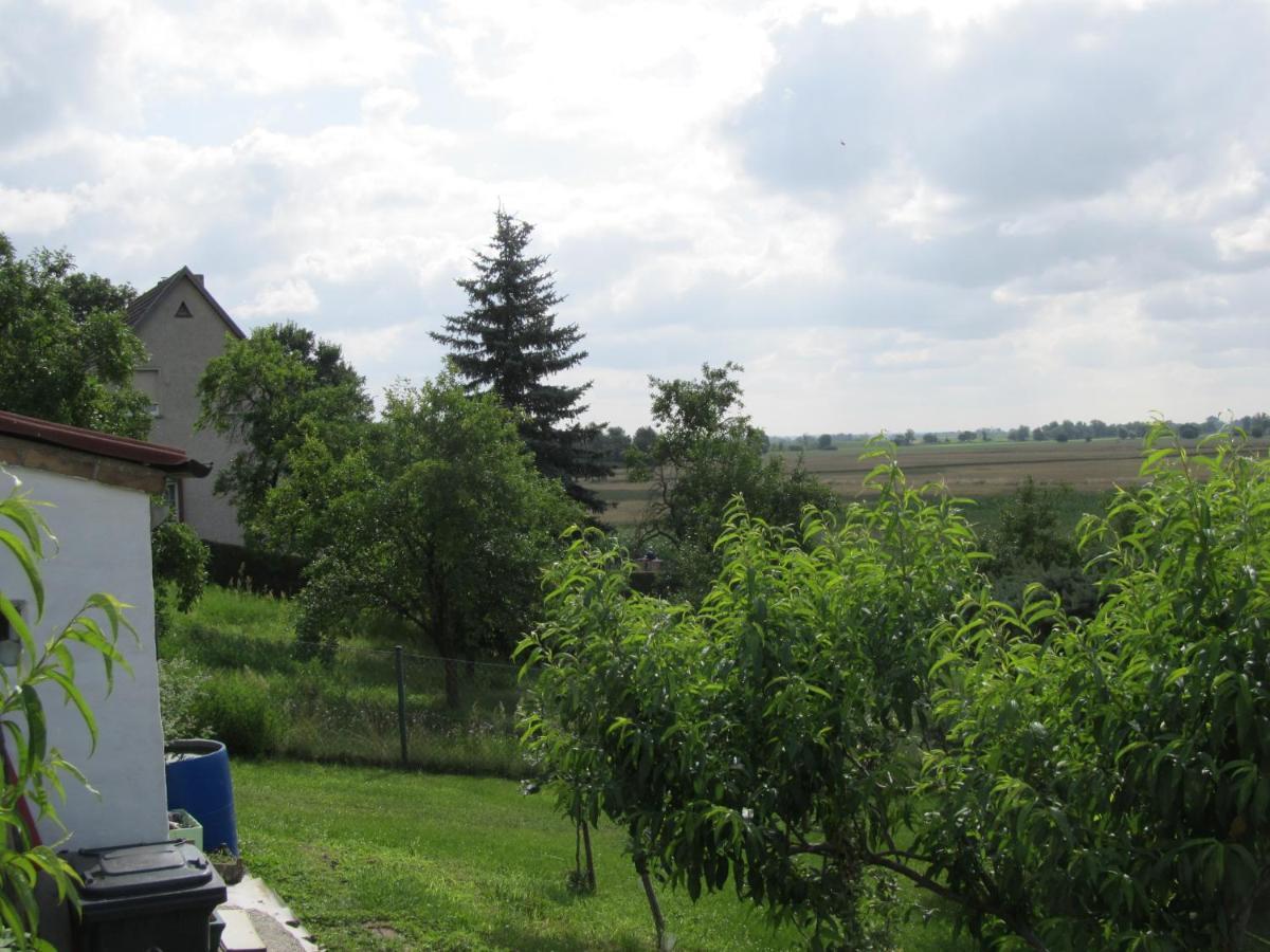 Apartamento Zum Wiesengrund Im Oderbruch Altglietzen Exterior foto