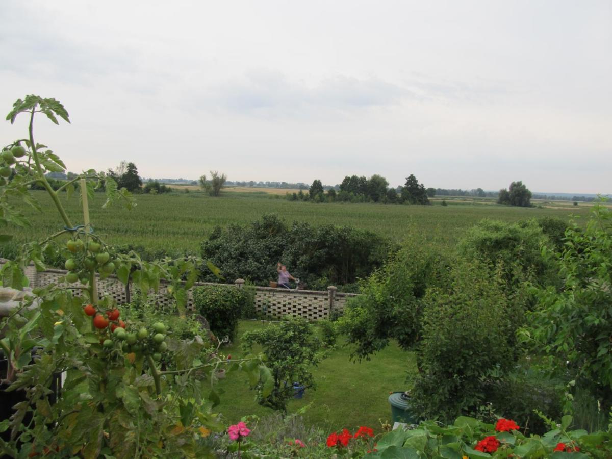 Apartamento Zum Wiesengrund Im Oderbruch Altglietzen Exterior foto